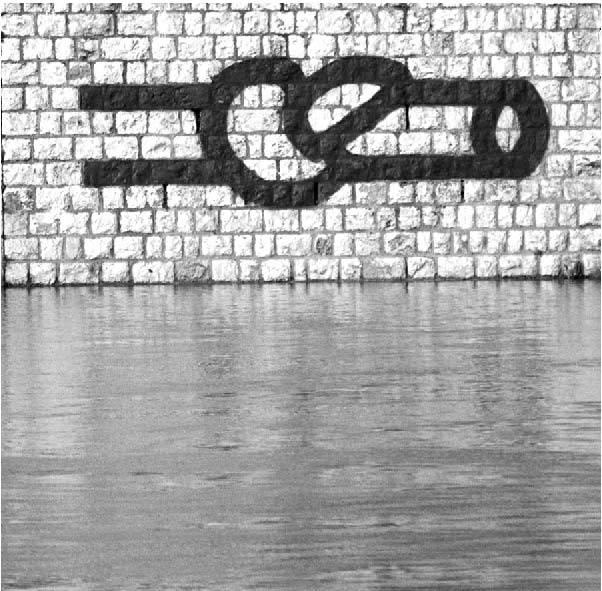 2003973